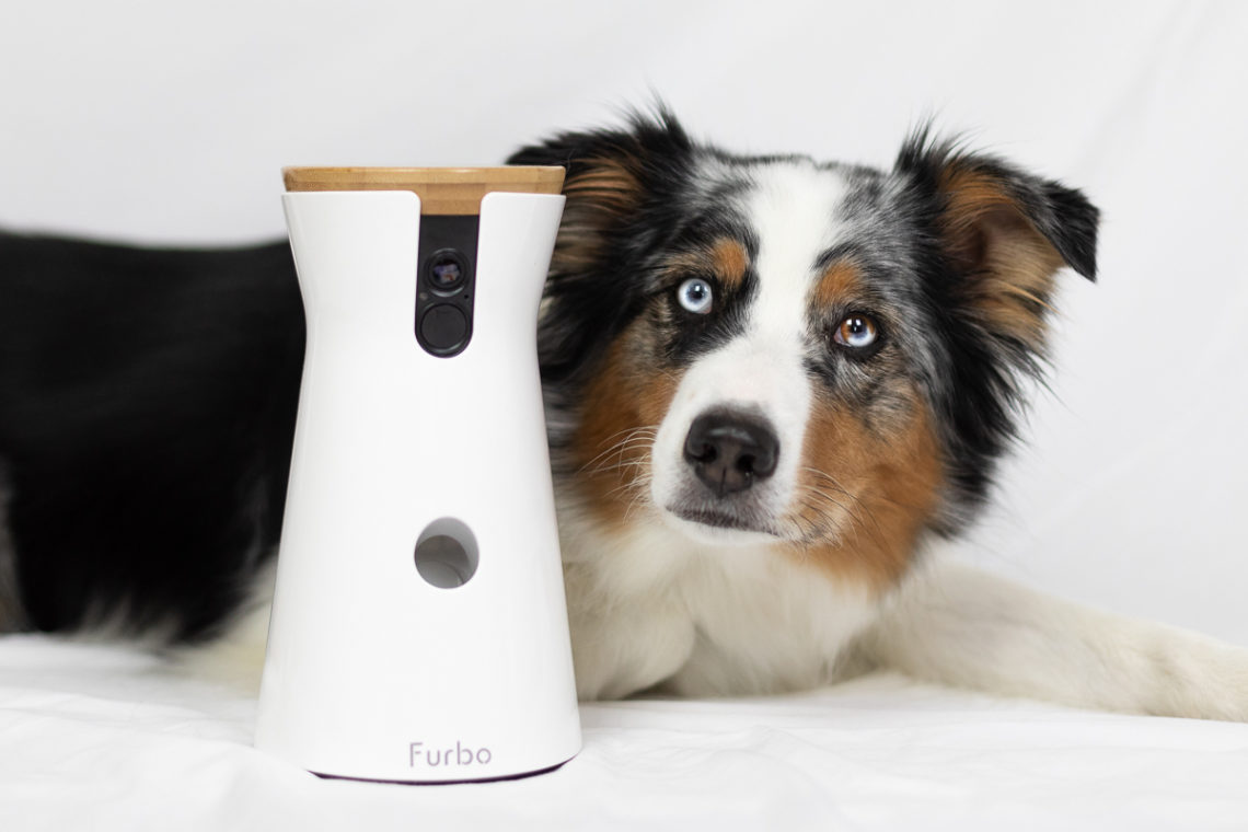 Die interaktive Hundekamera Furbo im Test