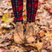 Unsere liebsten Herbstfavoriten für Hund und Herrchen